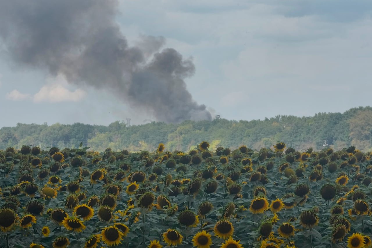 A sunflower field is seen in the foreground, with smoke seen in the background, wafting from a Kyiv warehouse (unseen in the image) that was hit in a Russian air attack.