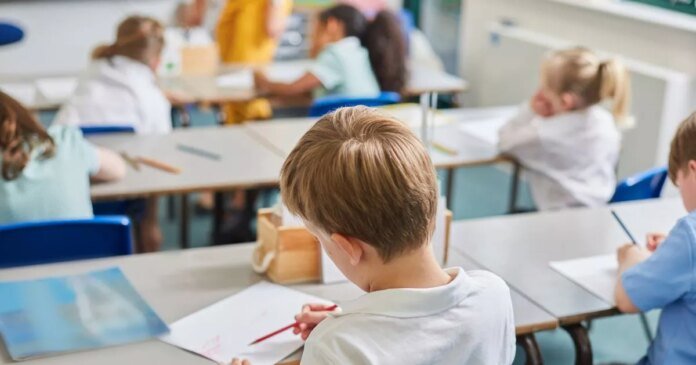 2_primary-schoolboy-and-girls-doing-schoolwork-at-classroom-desks-rear-view